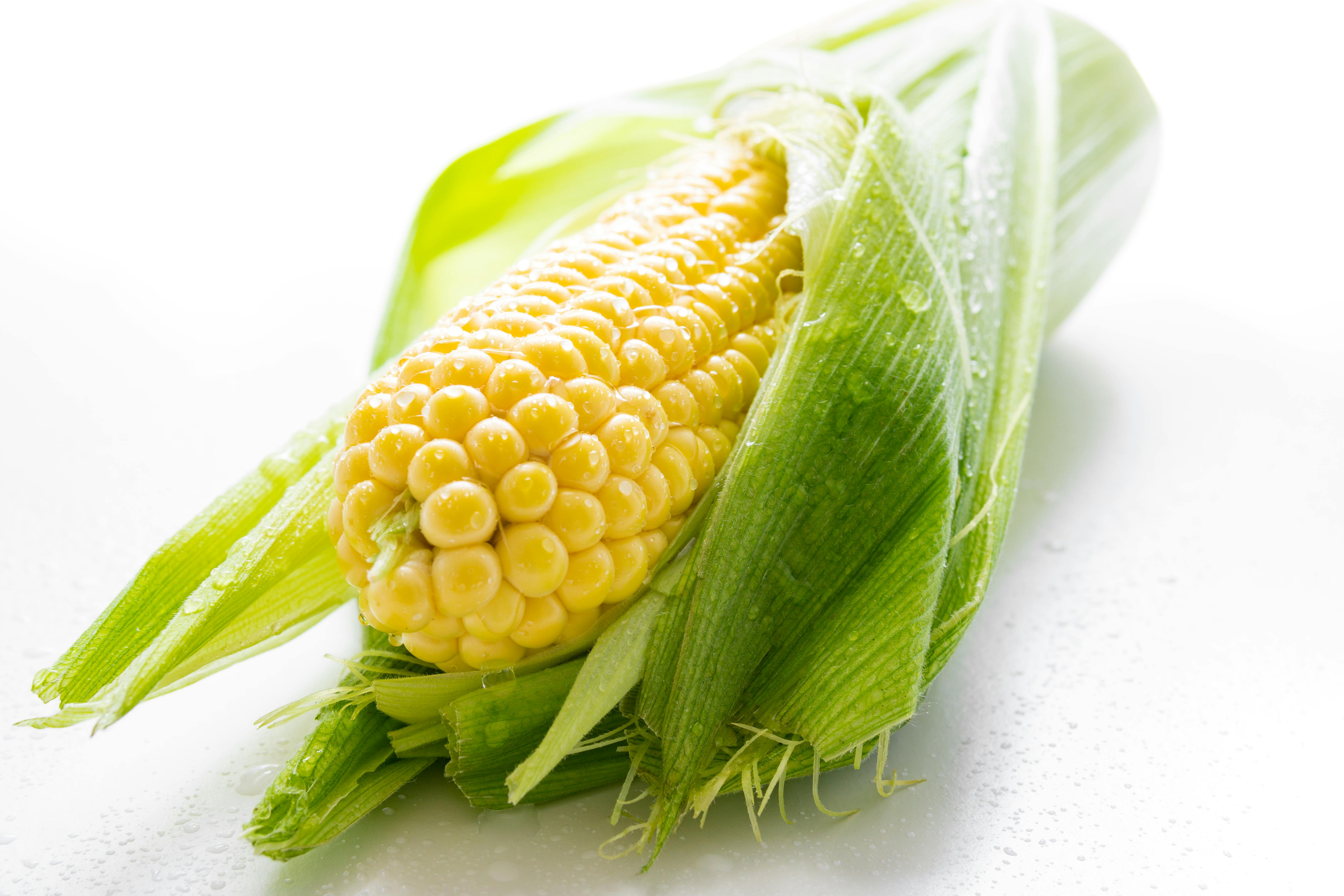 Green Maize